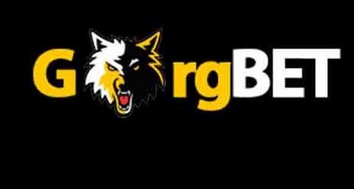 گرگ بت | تمرکز جدی روی شرط بندی ورزشی